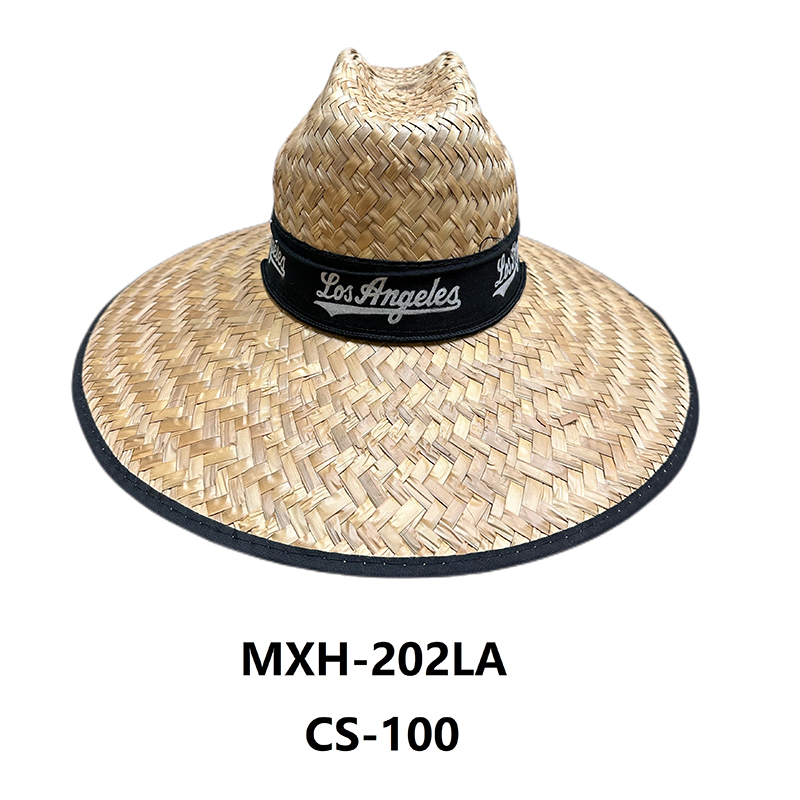 MXH-202LA CS-100